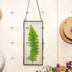 Hanging 4x9 Inches Black Long Herbarium Painted Brass Glass Frame For Pressed Flowers Dried Flowers 13 Hanging 4x9 Inches Black Long Herbarium Painted Brass Glass Frame For Pressed Flowers Dried Flowers -Ncyp Garden Sale Shop 02349