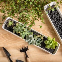 Decorative Black Galaxy Rocks Quartz Sand For Succulents Top Dressing, Terrarium, Fairy Gardening 13 Decorative Black Galaxy Rocks Quartz Sand For Succulents Top Dressing, Terrarium, Fairy Gardening -Ncyp Garden Sale Shop 1843