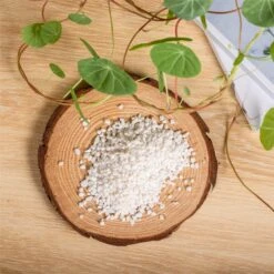 Decorative White Pebble Rocks For Succulents Top Dressing, For Terrarium, Fairy Gardening -Ncyp Garden Sale Shop 1962