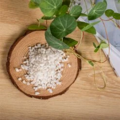 Decorative White Pebble Rocks For Succulents Top Dressing, For Terrarium, Fairy Gardening -Ncyp Garden Sale Shop 1992