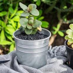 Decorative Black Galaxy Rocks Quartz Sand For Succulents Top Dressing, Terrarium, Fairy Gardening 11 Decorative Black Galaxy Rocks Quartz Sand For Succulents Top Dressing, Terrarium, Fairy Gardening -Ncyp Garden Sale Shop 1 ed80c980 42c4 48cb a97a cce72f39e94f