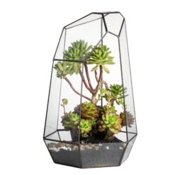 Handmade 41cm / 16" Tall Irregular Open Glass Geometric Terrarium Box For Succulent Moss Airplants -Ncyp Garden Sale Shop 20150620003 8