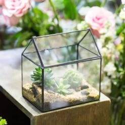 NCYP Vintage House Geometric Terrarium Tin Sealed Chest Planter Succulent Centerpiece Wedding -Ncyp Garden Sale Shop 20150620005 10