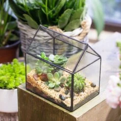 NCYP Vintage House Geometric Terrarium Tin Sealed Chest Planter Succulent Centerpiece Wedding -Ncyp Garden Sale Shop 20150620005 12