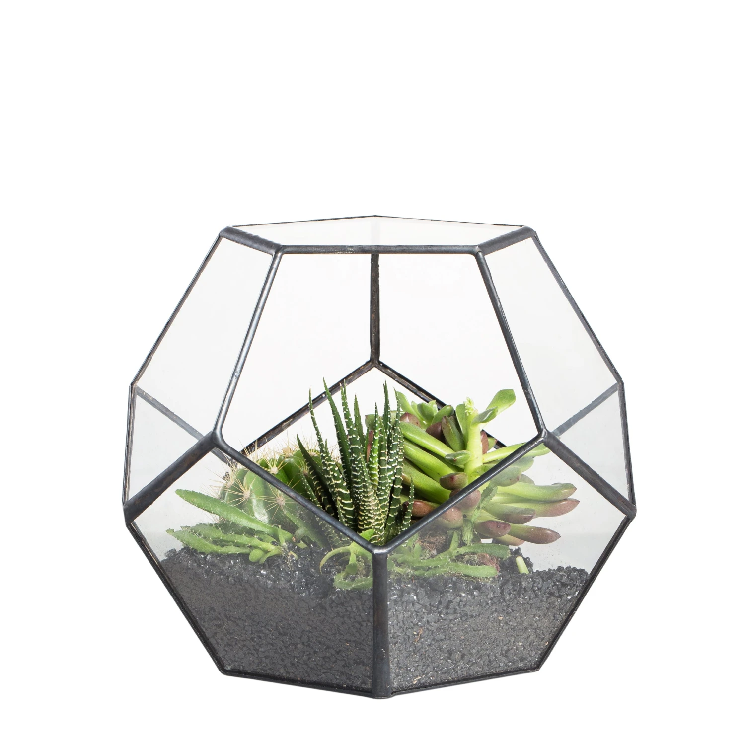Handmade Tabletop Polyhedron Glass Geometric Terrarium For Succulent Fern Moss Air Plant 15 Handmade Tabletop Polyhedron Glass Geometric Terrarium For Succulent Fern Moss Air Plant - Image 15