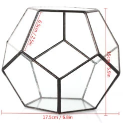 Handmade Silver Black Various Size Pentagon Glass Geometric Terrarium For Succulents Airplants Cacti -Ncyp Garden Sale Shop 20150713033 7