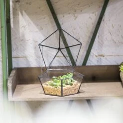 Modern Succulent Plant Glass Geometric Container Desktop Flower Pot For Succulents Flower -Ncyp Garden Sale Shop 20151226004 11