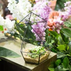 Modern Succulent Plant Glass Geometric Container Desktop Flower Pot For Succulents Flower -Ncyp Garden Sale Shop 20151226004 12