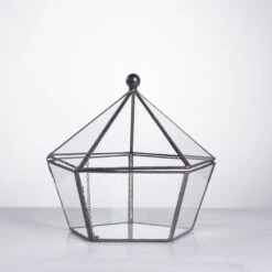 Modern Succulent Plant Glass Geometric Container Desktop Flower Pot For Succulents Flower -Ncyp Garden Sale Shop 20151226004 7