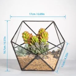 Handmade Bowl Shape Geometric Glass Terrarium Pot For Plants Succulent Moss Miniature Airplants -Ncyp Garden Sale Shop 20160218031 5