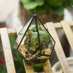 Handmade Artistic Hanging Glass Teardrop Diamond Geometric Terrarium With Loop For Succulent Moss 16 Handmade Artistic Hanging Glass Teardrop Diamond Geometric Terrarium With Loop For Succulent Moss -Ncyp Garden Sale Shop 20160220005 S 0 12