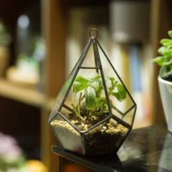 Handmade Artistic Hanging Glass Teardrop Diamond Geometric Terrarium With Loop For Succulent Moss 17 Handmade Artistic Hanging Glass Teardrop Diamond Geometric Terrarium With Loop For Succulent Moss -Ncyp Garden Sale Shop 20160220005 S 0 13