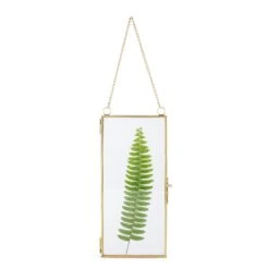 NCYP 4x9 Inchs Clear Glass Picture Frame Wall Hanging Certificate Photo Plant Specimen Clip 29 NCYP 4x9 Inchs Clear Glass Picture Frame Wall Hanging Certificate Photo Plant Specimen Clip -Ncyp Garden Sale Shop 20180129001 1600