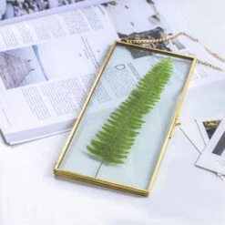 NCYP 4x9 Inchs Clear Glass Picture Frame Wall Hanging Certificate Photo Plant Specimen Clip 32 NCYP 4x9 Inchs Clear Glass Picture Frame Wall Hanging Certificate Photo Plant Specimen Clip -Ncyp Garden Sale Shop 20180129001 5