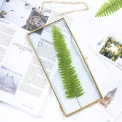 NCYP 4x9 Inchs Clear Glass Picture Frame Wall Hanging Certificate Photo Plant Specimen Clip 31 NCYP 4x9 Inchs Clear Glass Picture Frame Wall Hanging Certificate Photo Plant Specimen Clip -Ncyp Garden Sale Shop 20180129001 6