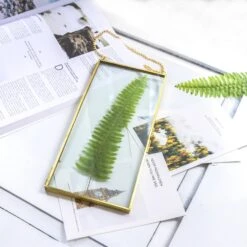 NCYP 4x9 Inchs Clear Glass Picture Frame Wall Hanging Certificate Photo Plant Specimen Clip 33 NCYP 4x9 Inchs Clear Glass Picture Frame Wall Hanging Certificate Photo Plant Specimen Clip -Ncyp Garden Sale Shop 20180129001 8