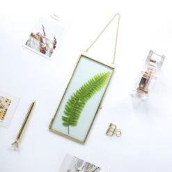 NCYP 4x9 Inchs Clear Glass Picture Frame Wall Hanging Certificate Photo Plant Specimen Clip 27 NCYP 4x9 Inchs Clear Glass Picture Frame Wall Hanging Certificate Photo Plant Specimen Clip -Ncyp Garden Sale Shop 20180129001 9