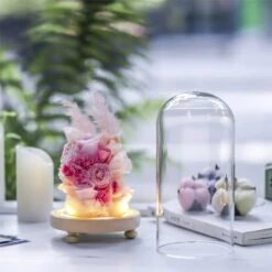 Glass Dome With LED Light Wood Base Cloche Bell For Rose Model Figurine Flowers Centerpiece 9 Glass Dome With LED Light Wood Base Cloche Bell For Rose Model Figurine Flowers Centerpiece -Ncyp Garden Sale Shop 20190227003 12