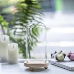 Glass Dome With LED Light Wood Base Cloche Bell For Rose Model Figurine Flowers Centerpiece 8 Glass Dome With LED Light Wood Base Cloche Bell For Rose Model Figurine Flowers Centerpiece -Ncyp Garden Sale Shop 20190227003 7