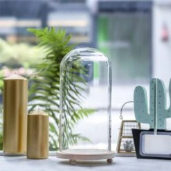 Handmade Glass Dome With LED Light Wood Base Cloche Bell Round For Rose Model Figurine Flowers 12 Handmade Glass Dome With LED Light Wood Base Cloche Bell Round For Rose Model Figurine Flowers -Ncyp Garden Sale Shop 20190227011 9