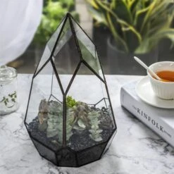 NCYP Irregular Open Geometric Glass Terrarium For Succulents Planter Pot Dessert Landscape Bonsai -Ncyp Garden Sale Shop 20190315012 1