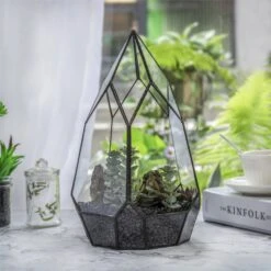 NCYP Irregular Open Geometric Glass Terrarium For Succulents Planter Pot Dessert Landscape Bonsai -Ncyp Garden Sale Shop 20190315012 2