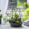 NCYP Irregular Open Geometric Glass Terrarium For Succulents Planter Pot Dessert Landscape Bonsai