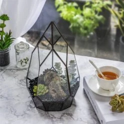 NCYP Irregular Open Geometric Glass Terrarium For Succulents Planter Pot Dessert Landscape Bonsai -Ncyp Garden Sale Shop 20190315012 7