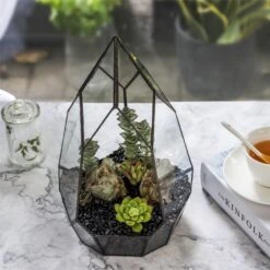 NCYP Irregular Open Geometric Glass Terrarium For Succulents Planter Pot Dessert Landscape Bonsai -Ncyp Garden Sale Shop 20190315012 8 2fecc211 e11e 4028 9398 0002b16005d0