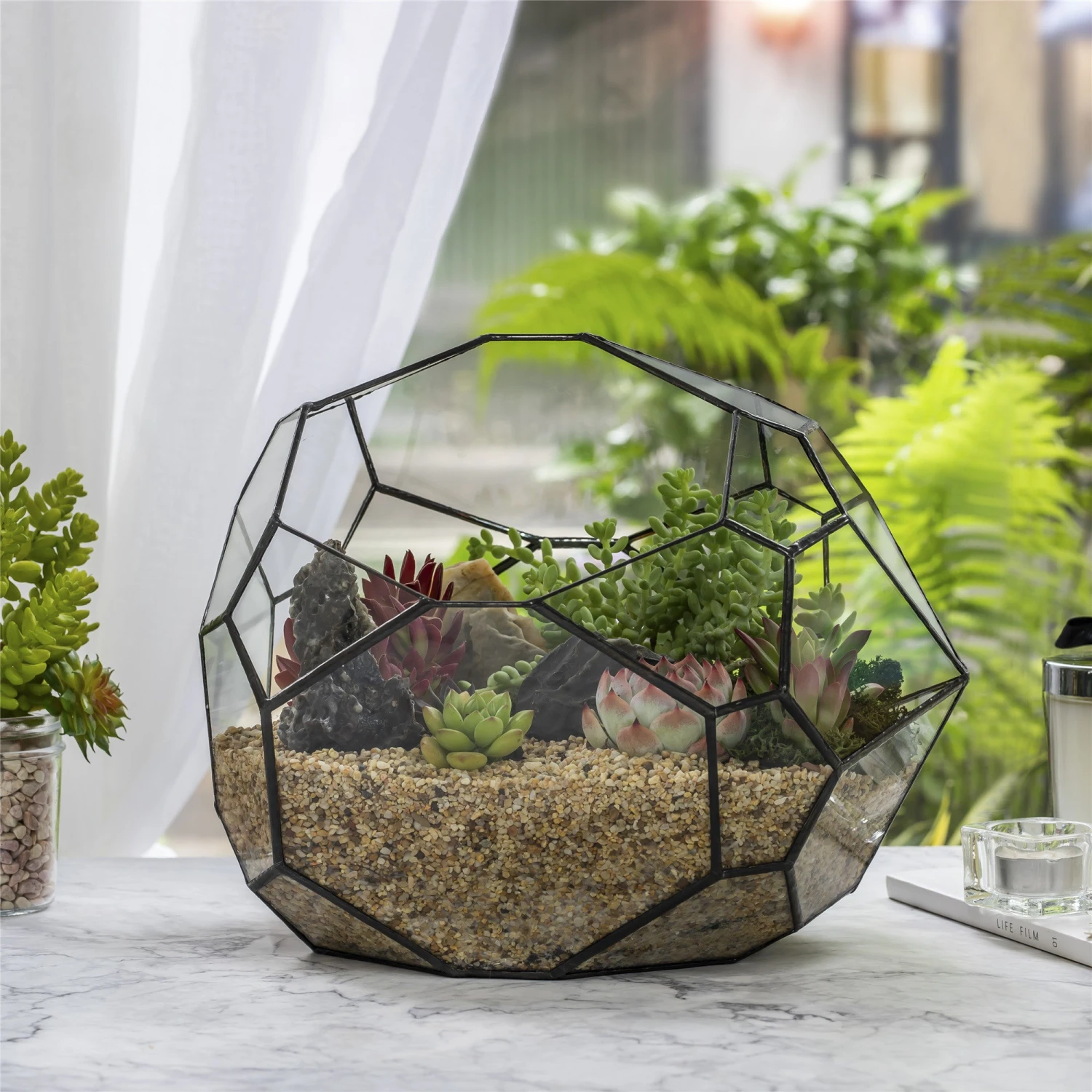 NCYP Irregular Open Geometric Glass Terrarium Bubble Shape For Succulents Landscape Bonsai 1 NCYP Irregular Open Geometric Glass Terrarium Bubble Shape For Succulents Landscape Bonsai