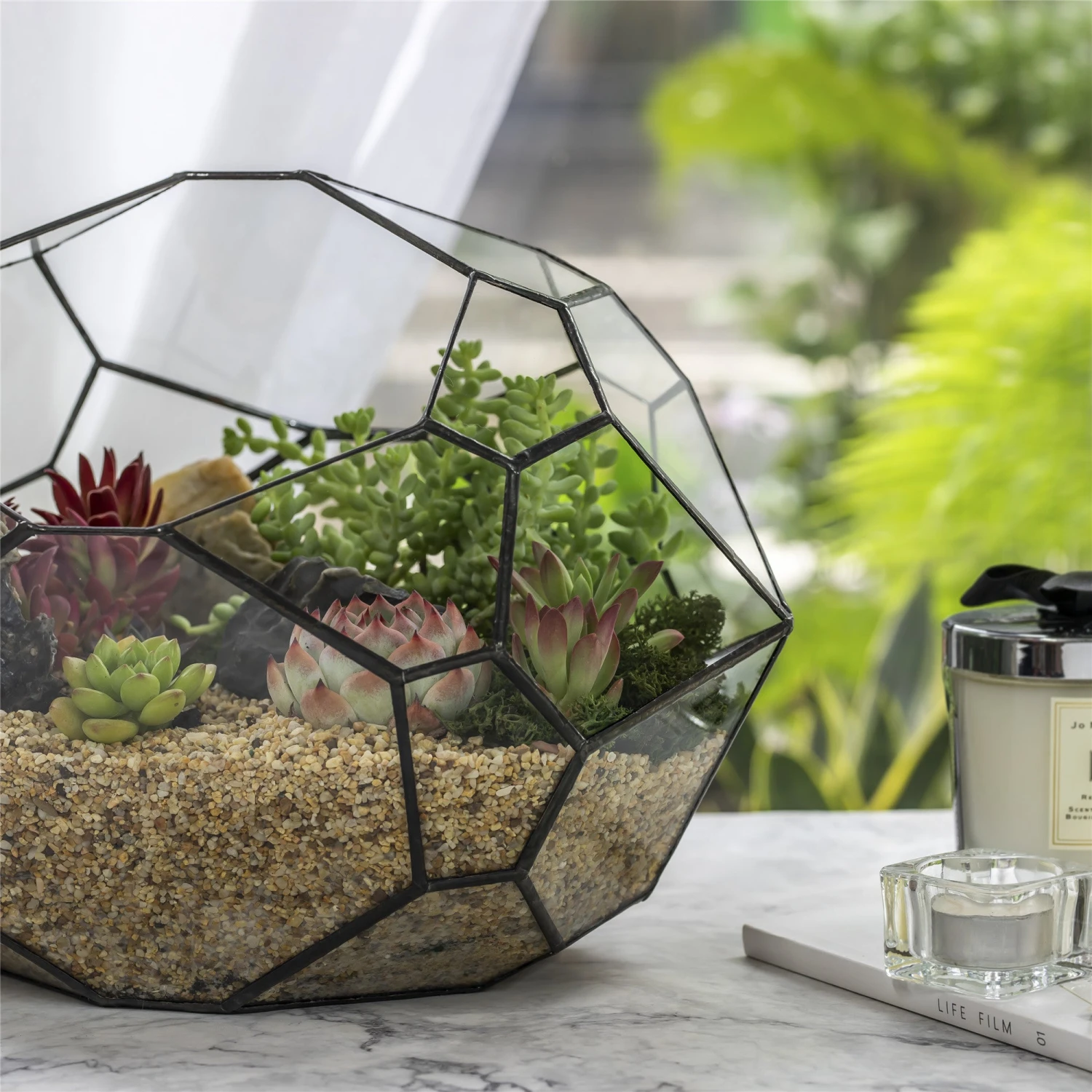 NCYP Irregular Open Geometric Glass Terrarium Bubble Shape For Succulents Landscape Bonsai 3 NCYP Irregular Open Geometric Glass Terrarium Bubble Shape For Succulents Landscape Bonsai - Image 3