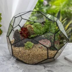 NCYP Irregular Open Geometric Glass Terrarium Bubble Shape For Succulents Landscape Bonsai 10 NCYP Irregular Open Geometric Glass Terrarium Bubble Shape For Succulents Landscape Bonsai -Ncyp Garden Sale Shop 20190418001 4