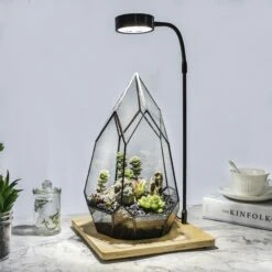 NCYP Tabletop Board USB LED Succulents Grow Light Display Indoor Terrarium For Succulents Moss -Ncyp Garden Sale Shop 20190508002 2