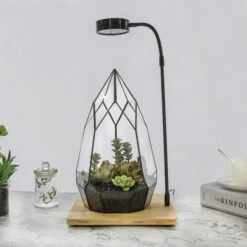 NCYP Tabletop Natural Wood Board LED Succulents Grow Light Display Indoor 2prong 7W For Geometric Glass Terrarium Succulent Fern Bonsai 23 NCYP Tabletop Natural Wood Board LED Succulents Grow Light Display Indoor 2prong 7W For Geometric Glass Terrarium Succulent Fern Bonsai -Ncyp Garden Sale Shop 20190508002 3 3c51fc3e e621 48fd a581 6966e321c2d6