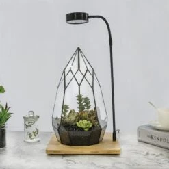 NCYP Tabletop Board USB LED Succulents Grow Light Display Indoor Terrarium For Succulents Moss -Ncyp Garden Sale Shop 20190508002 3 58ed428c 7ca5 4ce6 aebe 4c204bd5573c