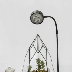 NCYP Tabletop Board USB LED Succulents Grow Light Display Indoor Terrarium For Succulents Moss -Ncyp Garden Sale Shop 20190508002 4 573d1f96 9e8a 4219 ac07 d5b4911ca8d9