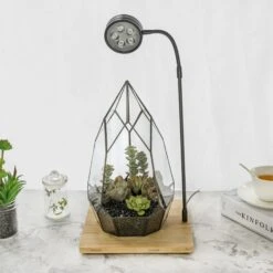 NCYP Tabletop Board USB LED Succulents Grow Light Display Indoor Terrarium For Succulents Moss -Ncyp Garden Sale Shop 20190508002 5