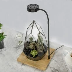 NCYP Tabletop Board USB LED Succulents Grow Light Display Indoor Terrarium For Succulents Moss -Ncyp Garden Sale Shop 20190508002 7