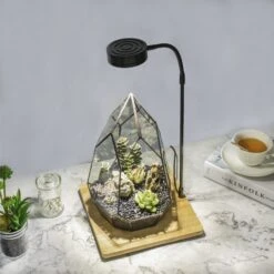 NCYP Tabletop Board USB LED Succulents Grow Light Display Indoor Terrarium For Succulents Moss -Ncyp Garden Sale Shop 20190508002 8