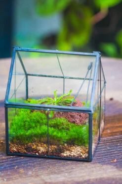 Handmade Glass And Tin Close Mini House Shape Close Terrarium For Moss, Succulents, Drosera -Ncyp Garden Sale Shop 20190621011 17