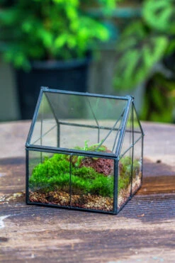 Handmade Glass And Tin Close Mini House Shape Close Terrarium For Moss, Succulents, Drosera -Ncyp Garden Sale Shop 20190621011 18