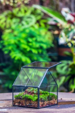 Handmade Glass And Tin Close Mini House Shape Close Terrarium For Moss, Succulents, Drosera -Ncyp Garden Sale Shop 20190621011 24