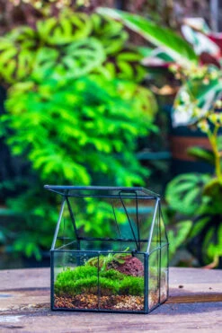 Handmade Glass And Tin Close Mini House Shape Close Terrarium For Moss, Succulents, Drosera -Ncyp Garden Sale Shop 20190621011 30