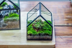 Handmade Glass And Tin Close Mini House Shape Close Terrarium For Moss, Succulents, Drosera -Ncyp Garden Sale Shop 20190621011 39