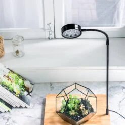 NCYP Tabletop Natural Wood Board LED Succulents Grow Light Display Indoor 2prong 7W For Geometric Glass Terrarium Succulent Fern Bonsai 39 NCYP Tabletop Natural Wood Board LED Succulents Grow Light Display Indoor 2prong 7W For Geometric Glass Terrarium Succulent Fern Bonsai -Ncyp Garden Sale Shop 20190806001 4 08d91bf3 a956 4f8d 9308 ac482dfa6bf9