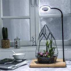 NCYP Tabletop Board USB LED Succulents Grow Light Display Indoor Terrarium For Succulents Moss -Ncyp Garden Sale Shop 20190806002 3