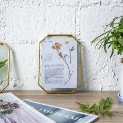 Wall Hanging Long Octagon Herbarium Brass Glass Frame For Pressed Flowers Dried Floating Frame -Ncyp Garden Sale Shop 20190905002 1