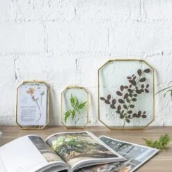 Wall Hanging Long Octagon Herbarium Brass Glass Frame For Pressed Flowers Dried Floating Frame -Ncyp Garden Sale Shop 20190905003 5