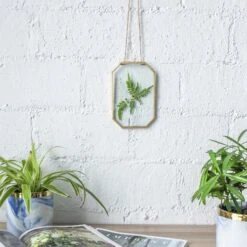 Wall Hanging Long Octagon Herbarium Brass Glass Frame For Pressed Flowers Dried Floating Frame -Ncyp Garden Sale Shop 20190905003 7