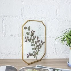 Wall Hanging Long Octagon Herbarium Brass Glass Frame For Pressed Flowers Dried Floating Frame -Ncyp Garden Sale Shop 20190905004 1